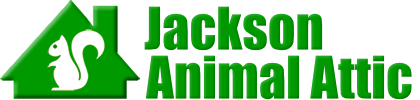 Jackson Animal Attic